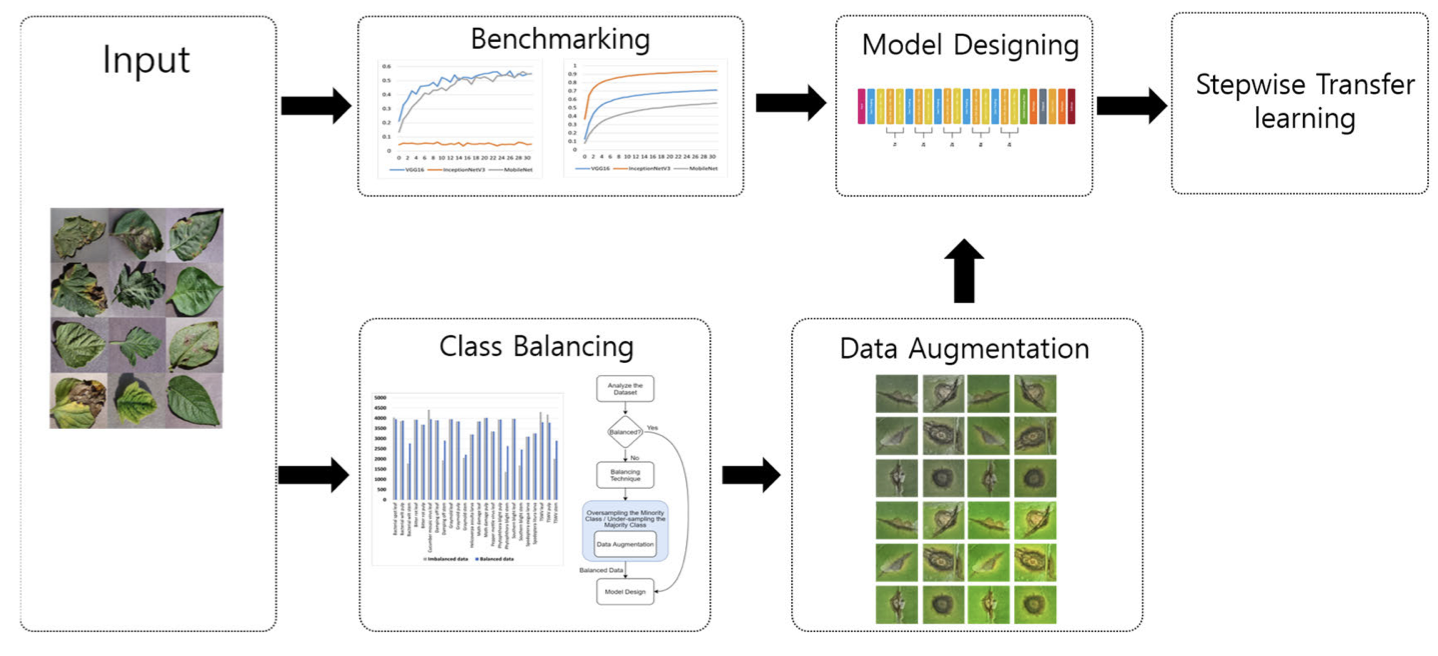 Plant disease detection methodology overview